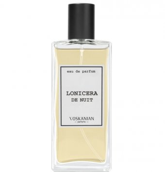 Lonicera de Nuit