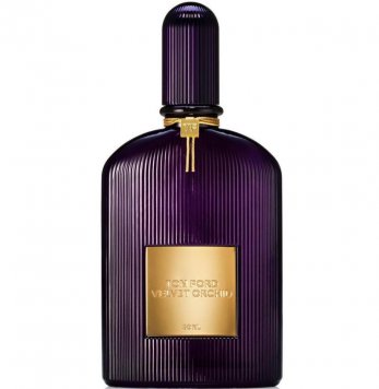 Velvet Orchid
