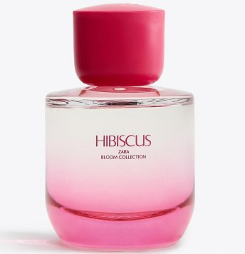 Hibiscus