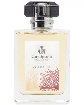 Corallium
