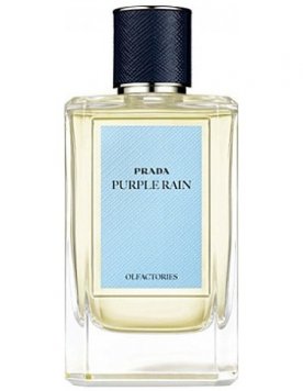 Olfactories: Purple Rain
