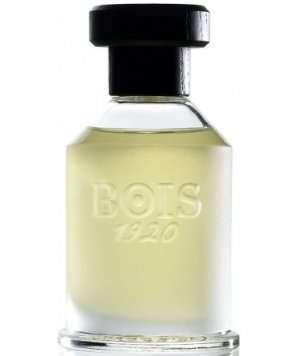 Rosa 23