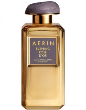 Evening Rose D'Or