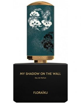 My Shadow on the Wall