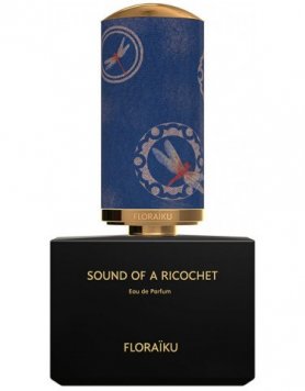 Sound of a Ricochet