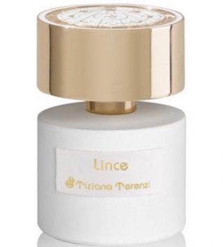 Lince