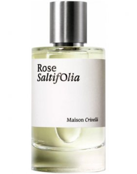 Rose Saltifolia