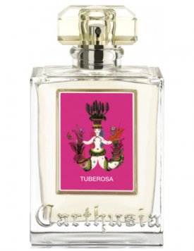 Tuberosa