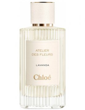 Lavanda