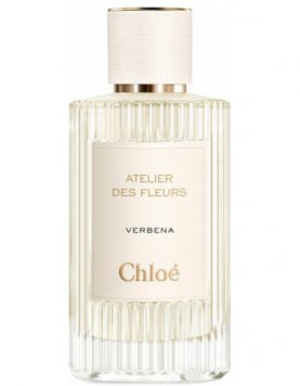 Verbena