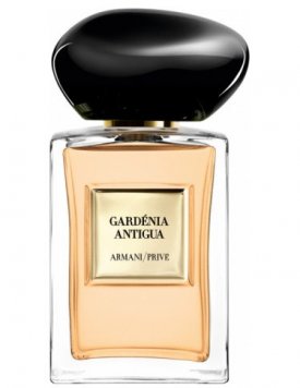 Armani Prive Gardenia Antigua