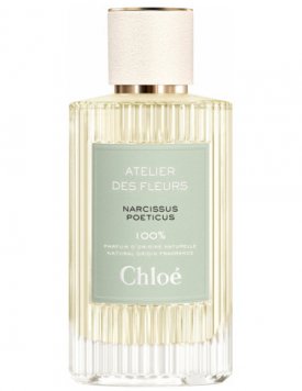 Narcissus Poeticus
