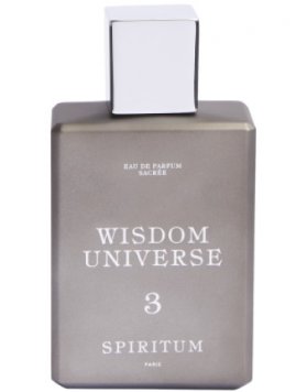 3 Wisdom Universe