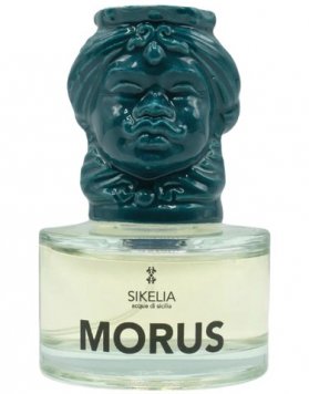 Morus