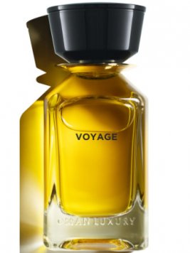 Voyage