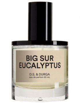 Big Sur Eucalyptus
