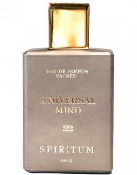 22 Universal Mind
