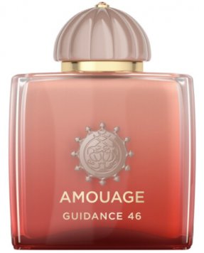 Guidance 46