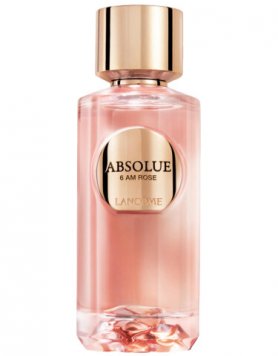 Absolue 6AM Rose