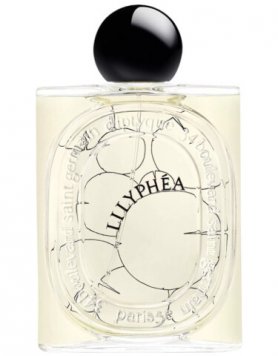 Lilyphea