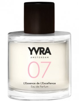 07 L'Essence de L'Excellence