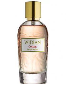 Rose Arabia Cotton