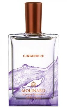 Gingembre