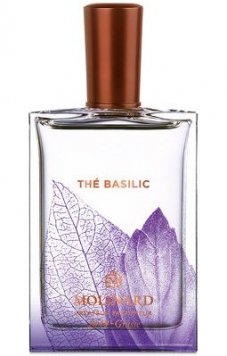 Thé Basilic