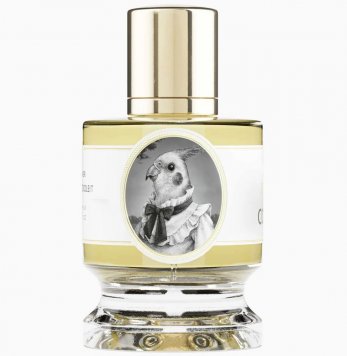 Cockatiel
