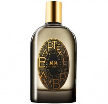 Bapteme Ambre