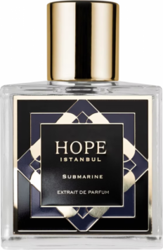 Submarine