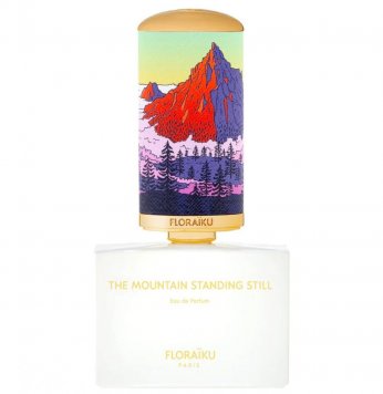 The Mountain Standing Still