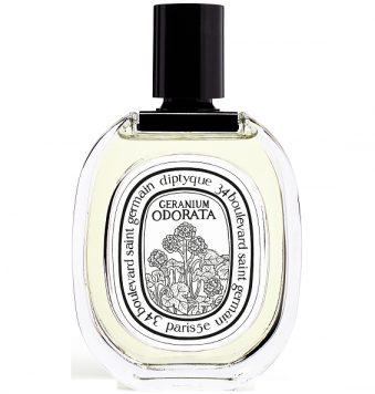 Geranium Odorata