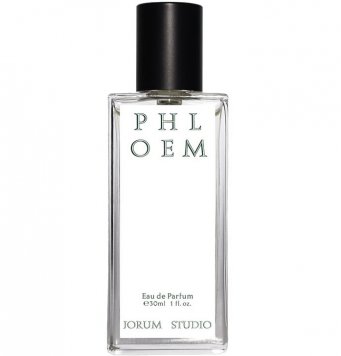 Phloem