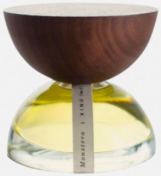 Monstera