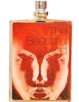 Intelligence & Fantasy The Beautiful Mind Series