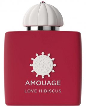 Love Hibiscus