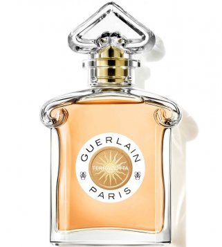 Terracotta Eau de Toilette