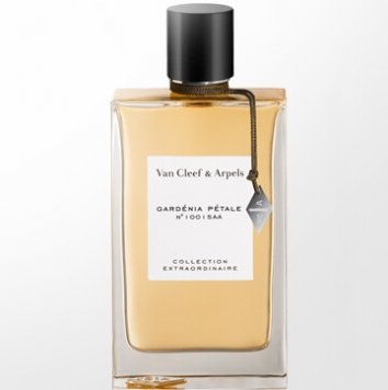 Collection Extraordinaire Gardenia Petale