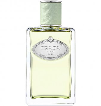Infusion d'Iris