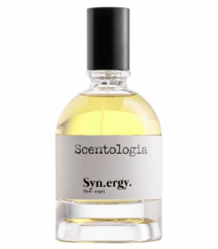 Syn.ergy